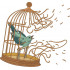 Bird In Broken Cage