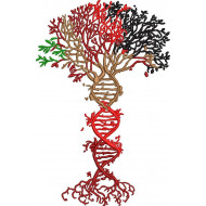 DNA Tree
