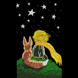 Boy and Little Fox