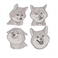 Dog Collection