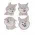 Dog Collection