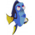 Dory Fish