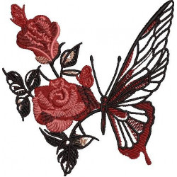 Rose Butterfly