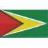Guyana Flag