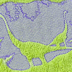 Brachiosaurus Silhouette Embossed