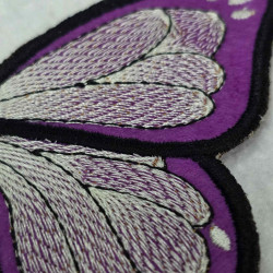 Hairstreak Butterfly Shoe Wing