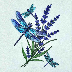 Lavender And Dragonfly