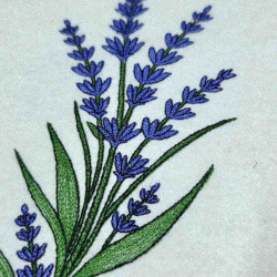 Purple Lavender Bloom