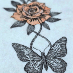 Rose And Butterfly Symphony