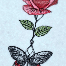 Rose And Butterfly Bliss