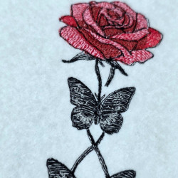 Rose And Butterfly Harmony