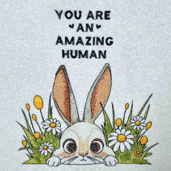 You Are An Amazing Human Rabbit