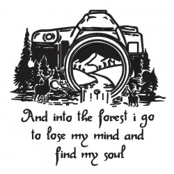 And Into The Forest