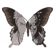 Butterfly Face Effect