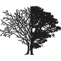 Life And Death