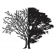 Life And Death