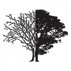 Life And Death