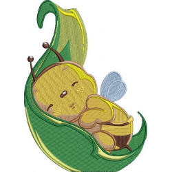 Baby Honey Bee