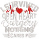 Open Heart Surgery
Open Heart Surgery