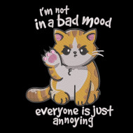 Bad Mood Cat Quote