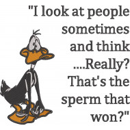 Duck Quote