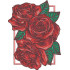 Beautiful Roses Pattern