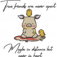 True Friends Quote