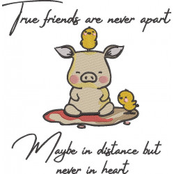 True Friends Quote