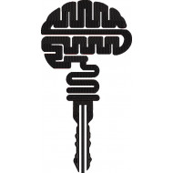 Brain Key