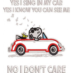 Sing In My Car
