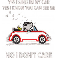 Sing In My Car