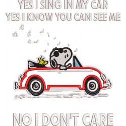 Sing In My Car