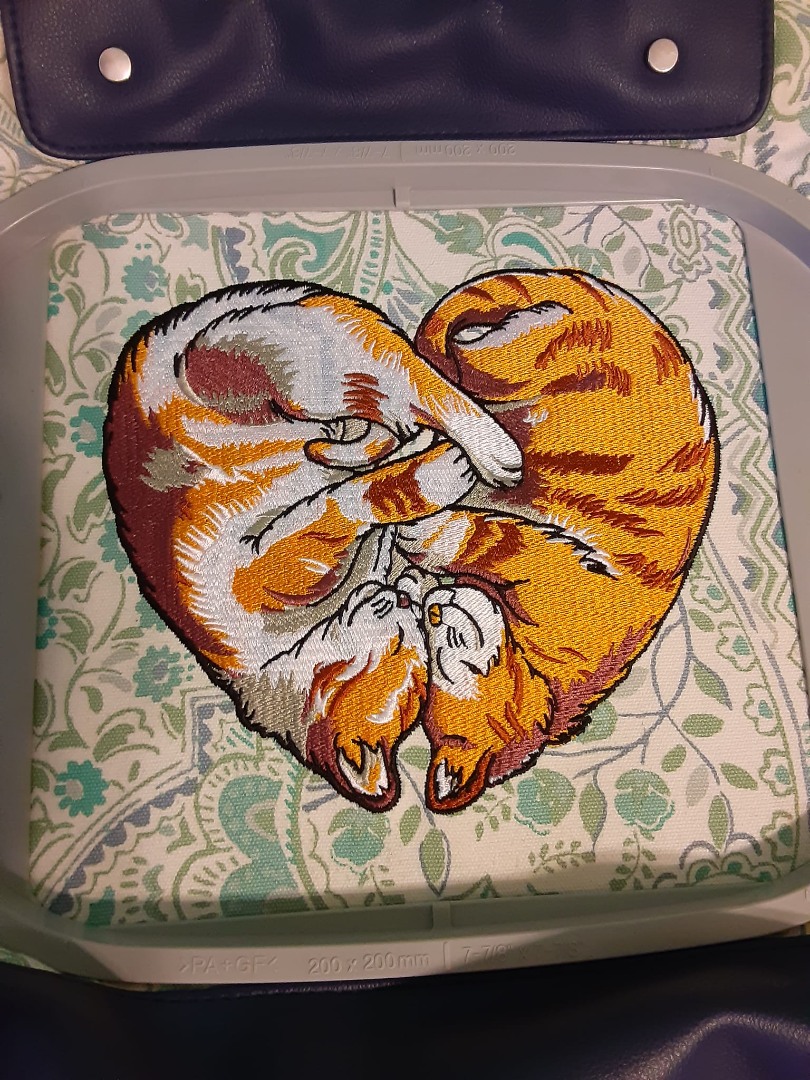 Heart Of Cats Heart Of Cats