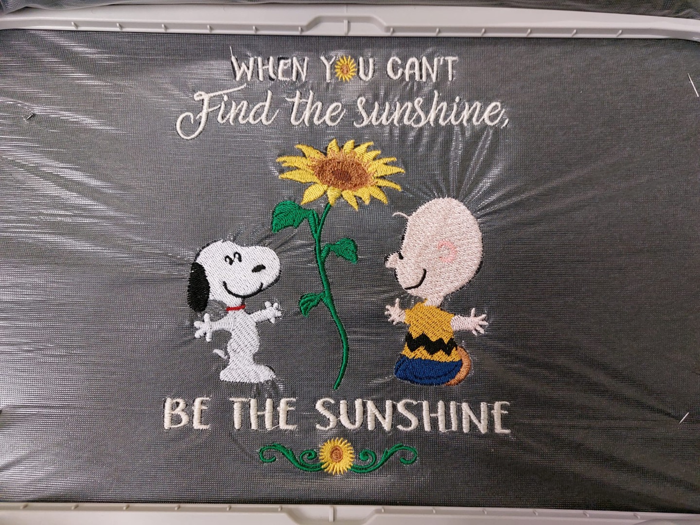 Find The Sunshine Find The Sunshine