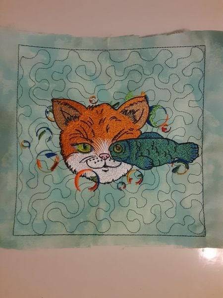 Cat And A Fish