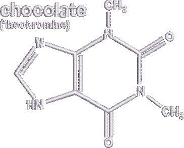 Chocolate Formula Chocolate Formula