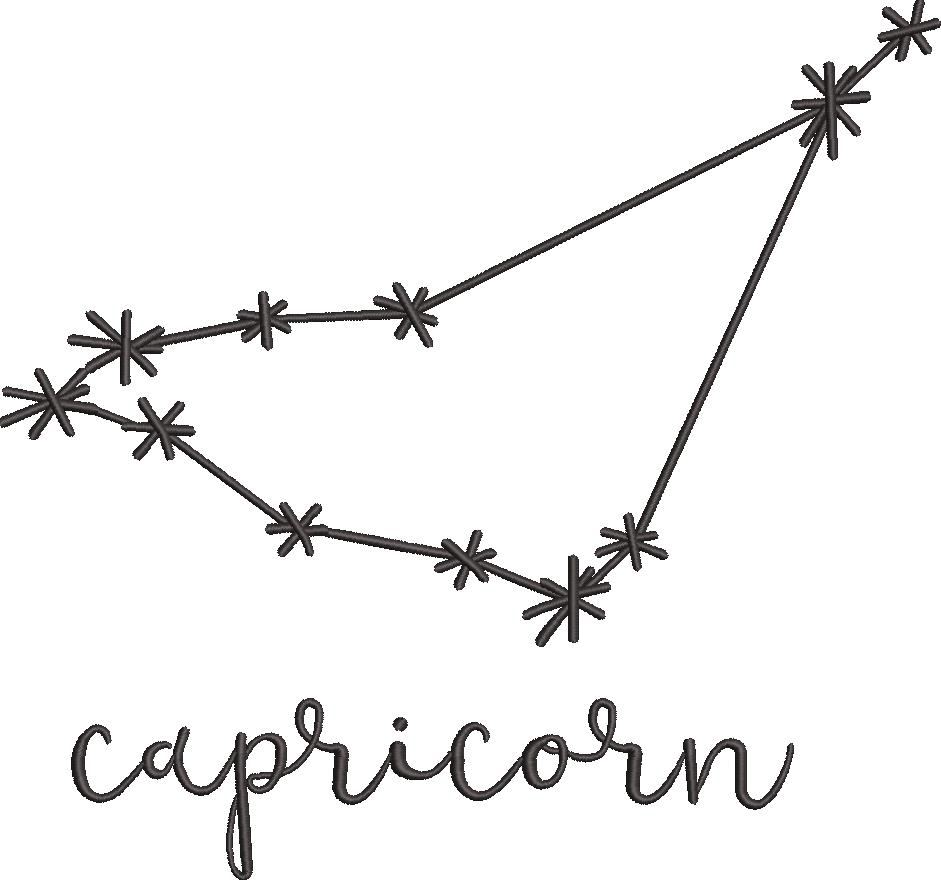 Capricorn Capricorn
