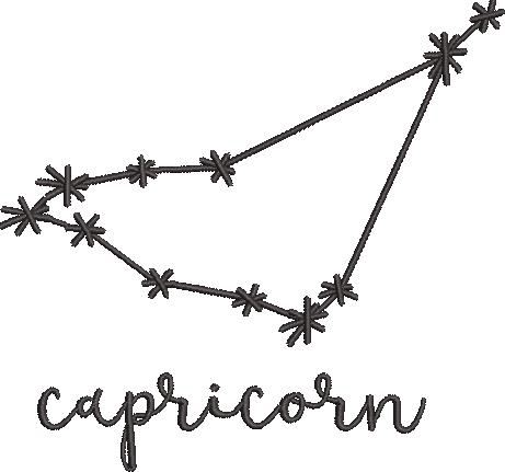 Capricorn Capricorn