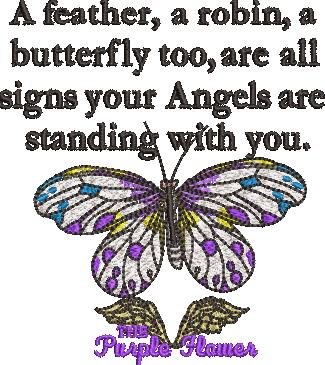 Angel Signs Quote