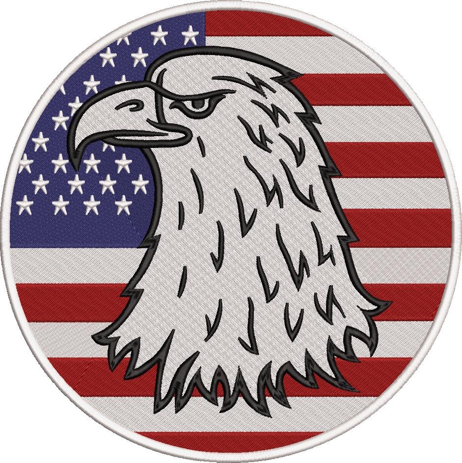American Bald Eagle American Bald Eagle
