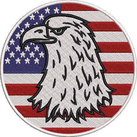 American Bald Eagle American Bald Eagle