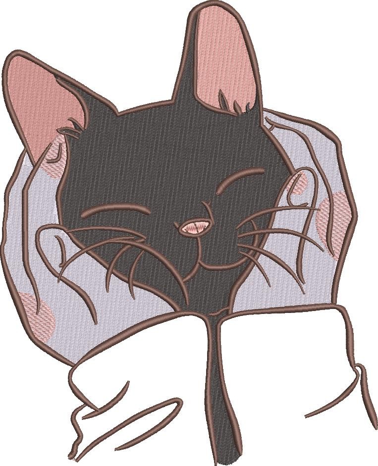Cat In Cupped Hands