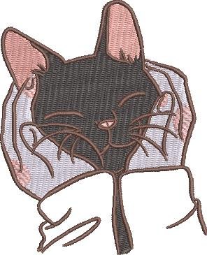 Cat In Cupped Hands
