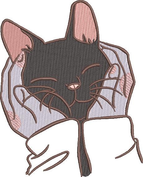 Cat In Cupped Hands