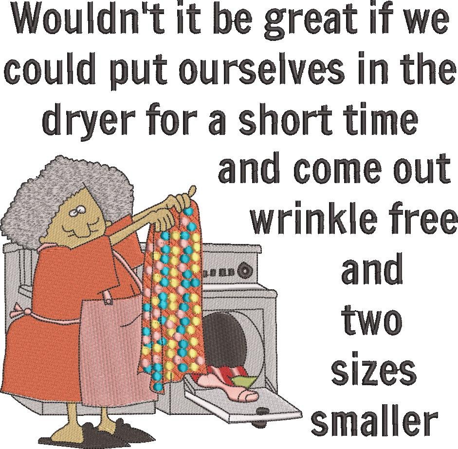 Put Ourselves In The Dryer Funny Quote Put Ourselves In The Dryer Funny Quote