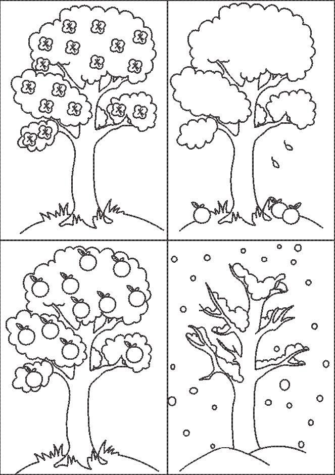 Tree In 4 Seasons Tree In 4 Seasons