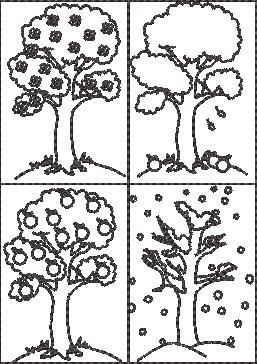 Tree In 4 Seasons Tree In 4 Seasons