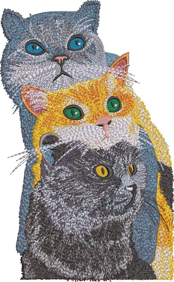 Three Cute Cats