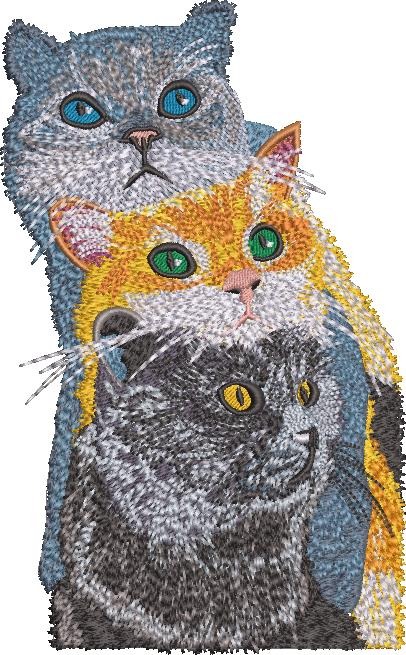 Three Cute Cats