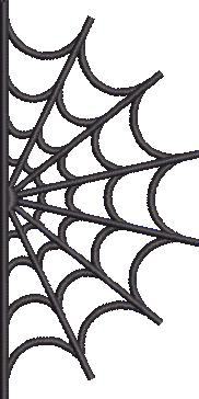 Spider Web Spider Web